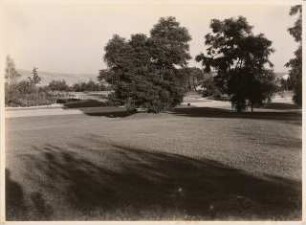 Reichsgartenschau 1939 auf dem Killesberg, Stuttgart: Staudenvergleichsschau