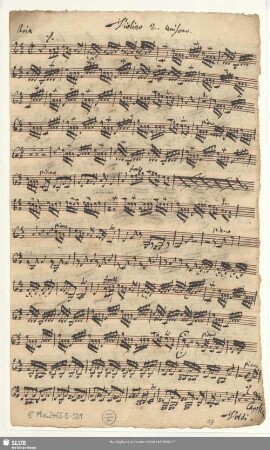 Viollino 2. unisono