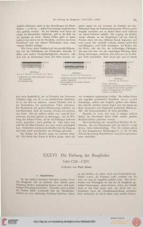 Die Färbung der Bauglieder