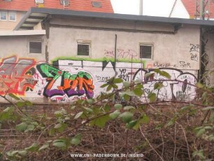 ZnR