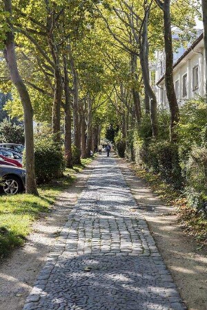 Mosaikpflasterweg; Darmstadt, Holzhofallee