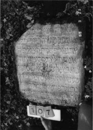 Grabstein 107 (Index: 99792194) Material: Sandstein Zustand: leicht verwittert mit Textverlust, Stele beschädigt, unterer Teil fehlt, Stele liegend Maße HxBxT: 78x66x9 cm Beschreibung: rechteckige Stele, Schriftfeld eingetieft: Grabstein 107