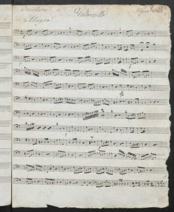 Violoncello