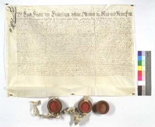 Egidius Hueber von Grimmelfingen stellt Anna Maria, Witwe Daniel Fingerlins, geb. Ehinger von Balzheim, über das Söld- und Wirtshaus zu Grimmelfingen einen Lehenrevers aus.
