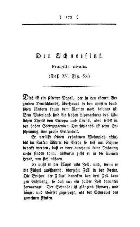 ¬Der¬ Schneefink : Fringilla nivalis ; (Taf. XV, Fig. 60)
