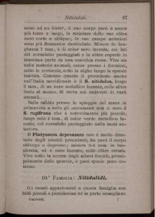 10. Famiglia: Nitidulidi.