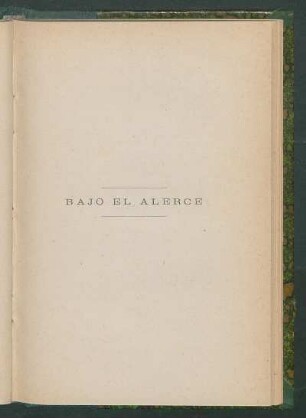 Bajo el alerce