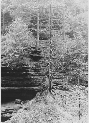 Felslandschaft (in der Gegend der Schrammsteine?)