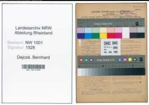 Entnazifizierung Bernhard Dejozé, geb. 07.08.1904 (Kaufmann)