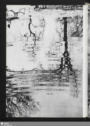 Der Sumpf (Spiegelung im Wasser)