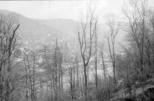 Nassau: Blick von der Stammburg durch Wald auf Nassau