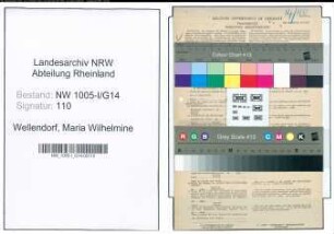 Entnazifizierung Maria Wilhelmine Wellendorf , geb. 01.01.1908 (Hausfrau)