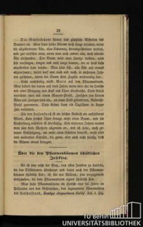 Über die den Pflaumenbäumen schädlichen Insekten