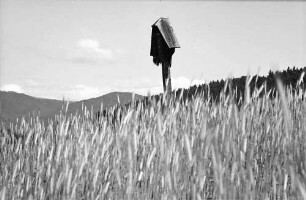 Glottertal: Marterl hinter Kornfeld