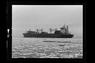 Caledonia (1979), Frachtschiff, Christian F. Ahrenkiel, Hamburg , Bau-Nr. 125