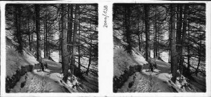Winter im Engadin