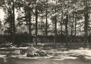 Tharandter Wald. Grab von Heinrich Cotta
