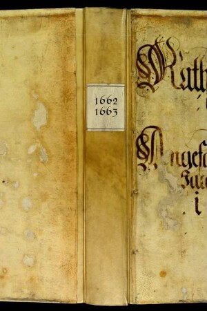 Ratsprotokolle, 1662 Juli 29. - 1663 Juli 24.