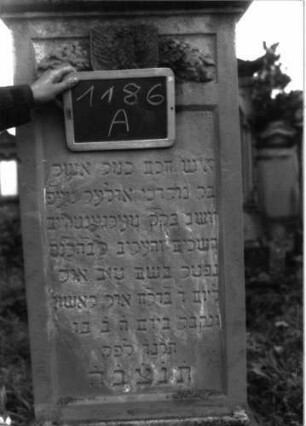 Grabstein 1186 (Index: 100104336) Material: Sandstein Zustand: gut erhalten, Sockel angewittert Maße HxBxT: 158x52x17 cm Beschreibung: aufgesockelte Stele, Giebelaufsatz mit Eckakroterien, eingetieftes hochrechteckiges Schriftfeld, darunter breirechteckige Eintiefung mit aufgesetztem plastischen Adler im Wappenschild vor Eichenlaubgirlande Symbolik: Wappenschild, Adler, Eichenlaubgirlande: Grabstein 1186A