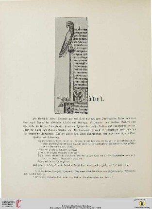 Hövel