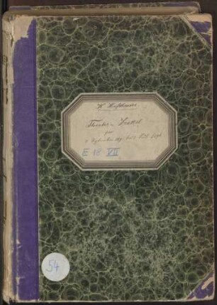 Theaterzettelband 1895/96