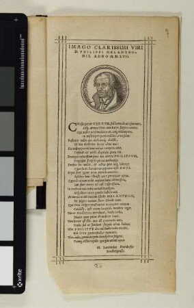 [Holzschnitt]: [Porträt: Philipp Melanchthon]