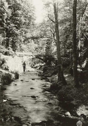 Sächsische Schweiz, Kirnitzschtal mit Thorwalder Brücke