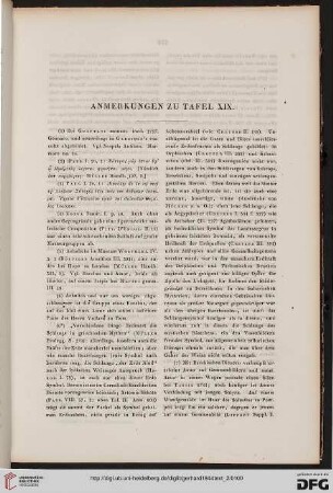 Anmerkungen zu Tafel XIX