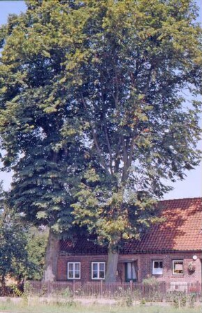 Landarbeiterhaus