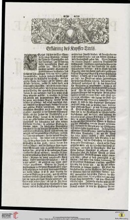 Erklaerung des Kupffer-Titels