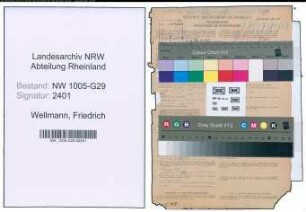 Entnazifizierung Friedrich Wellmann , geb. 14.09.1899 (Bahnamtmann)