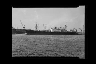 Birte Hugo Stinnes (1953), Frachtschiff, Hugo Stinnes, Hamburg, Bau-Nr. 253