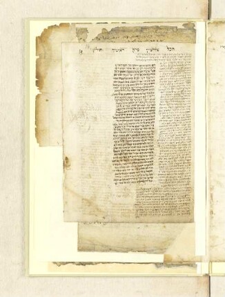 Talmud bavli seder Kodashim, fol. 14 : SUB Hamburg Cod. hebr. 87