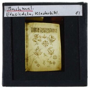Einsiedeln, Kloster Einsiedeln : Klosterbibliothek, Buchmalerei