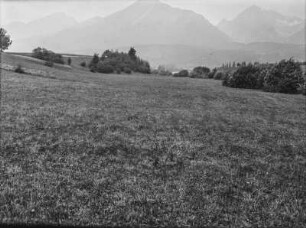 Weideland : Blick über Weideland mit hohem Gebirge im Hintergrund