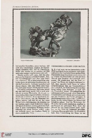 Vermenschlichung der Natur