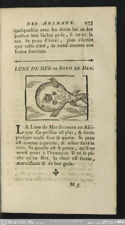 Lune De Mer ou Rond De Mer