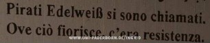 Pirati Edelweiß si sono chiamati. Ove ciò fiorisce, c'era resistenza.