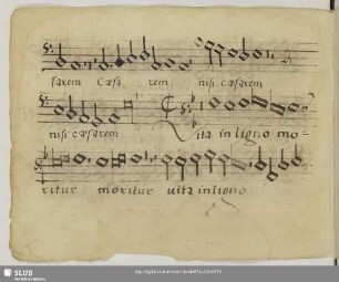 [Senfl, Ludwig:] Vita in ligno moritur