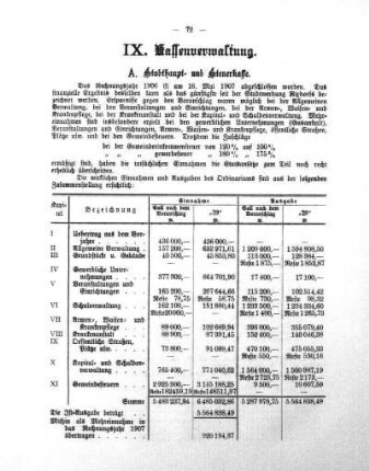 IX. Kassenverwaltung