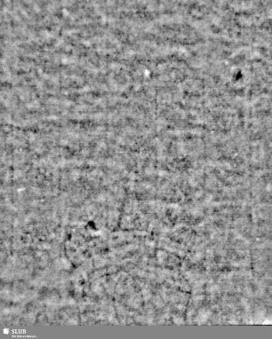 Lilienschild + IESV / LW = S.5/6