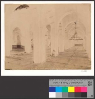 Tlemcen. Intérieur de la grande Mosquée.