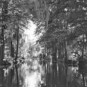 Trotzkefließ in Leipe. Bäume spiegeln sich im Wasser des Flusses. : Groble w Lipjem. Štomy špiheluja so we wodźe rěki.
