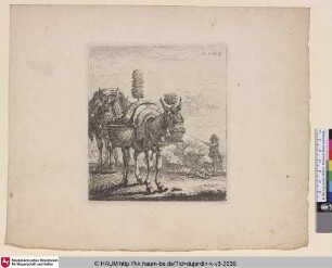 [The two Mules; Mules; Les mulets; Zwei Esel]