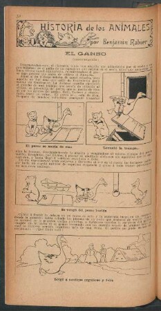 El ganso - (Continuación) : Historia de los animales
