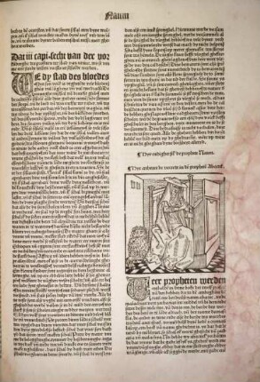 [Hyr anheuet de vorrede in dē prophetē Abacuk.]