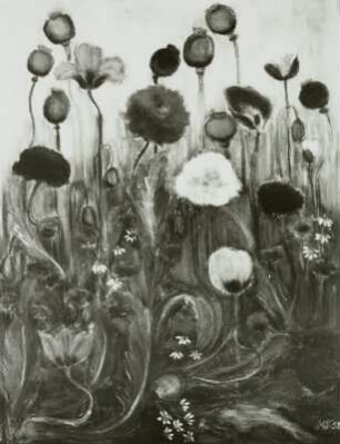 Der Mohn