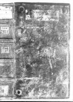 Sermones dominicales [u.a.] - BSB Clm 2981