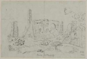 Stecklenberg (Stadt Thale): Burgruine Stecklenburg von Nordwesten