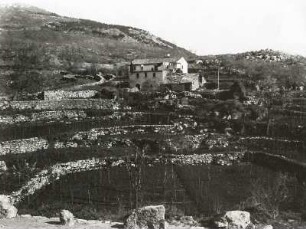 Kroatien. Halbinsel Istra. Kultivierte Doline oberhalb Opatija (Abbazia)